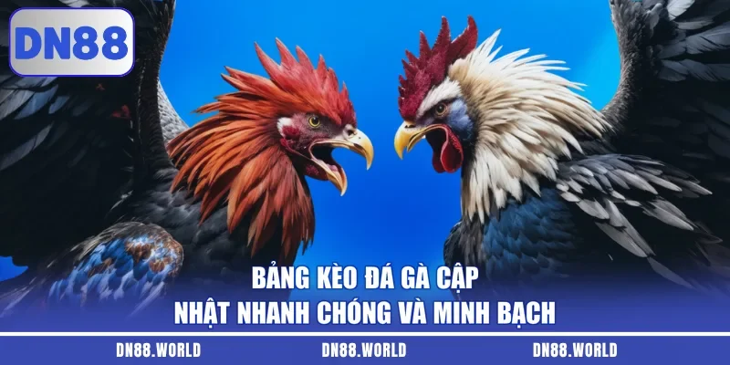 Bảng kèo đá gà cập nhật nhanh chóng và minh bạch