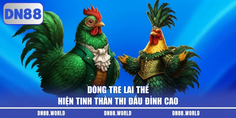 Dòng tre lai thể hiện tinh thần thi đấu đỉnh cao